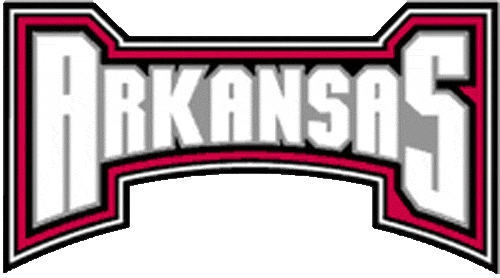 Arkansas Razorbacks 2001-2008 Wordmark Logo v6 iron on transfers for T-shirts